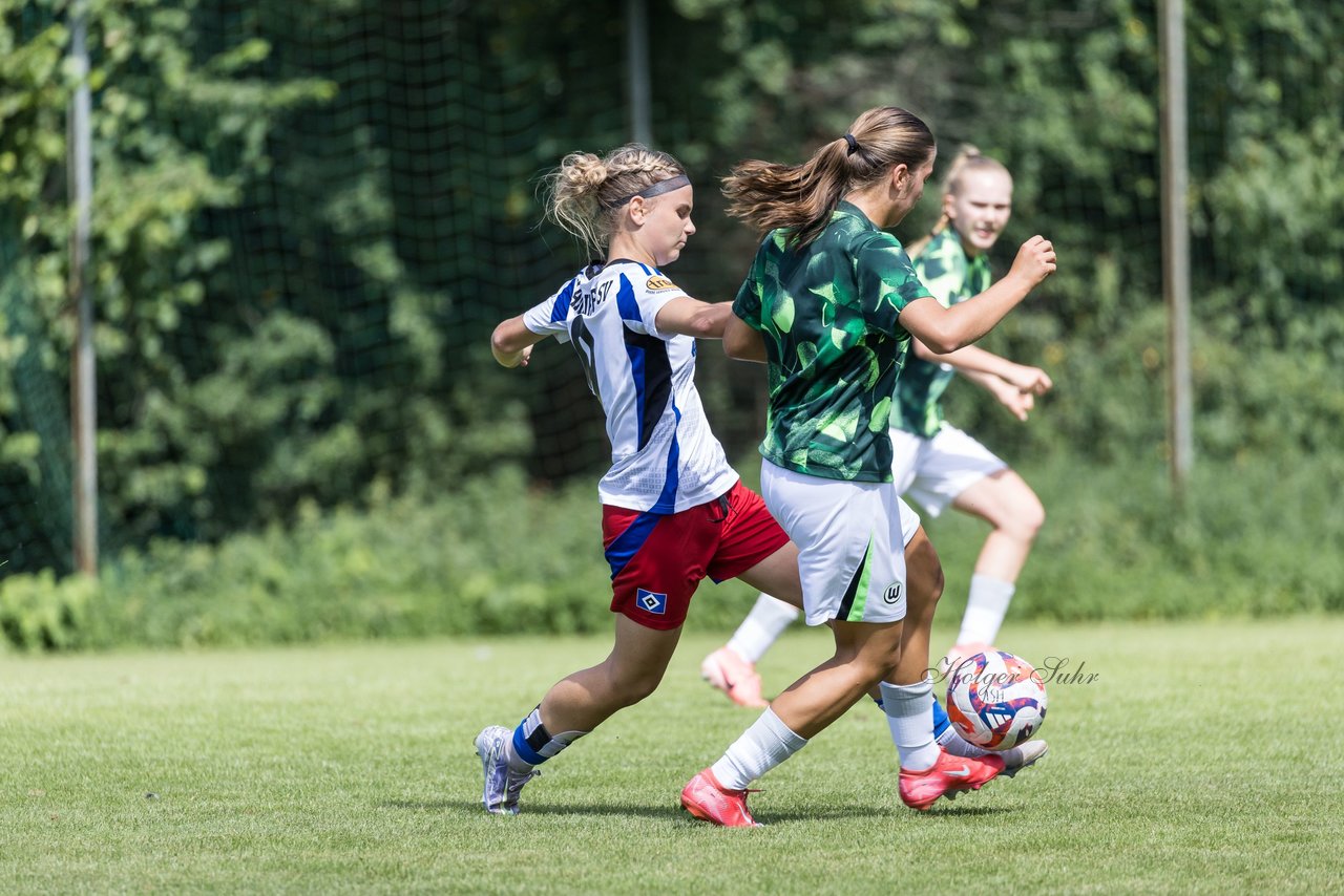 Bild 241 - wBJ Hamburger SV - VfL Wolfsburg : Ergebnis: 5:1